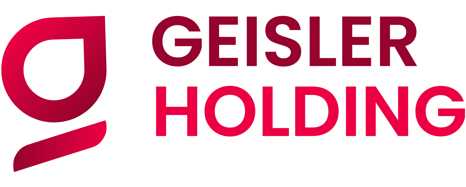 Geisler Holding